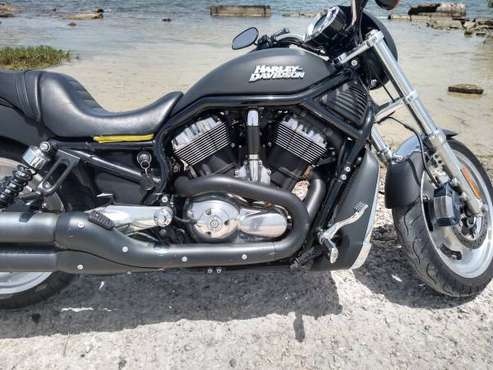 06 Harley V-Rod-trade for sale in SAINT PETERSBURG, FL