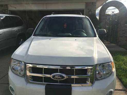 2008 Ford Escape for sale in Troy, MI