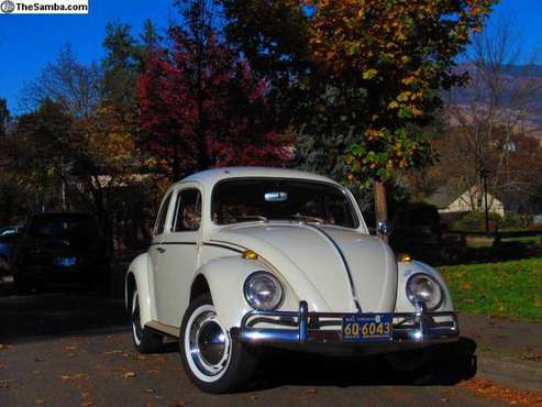 1964 Beetle - all original for sale in Medford, OR