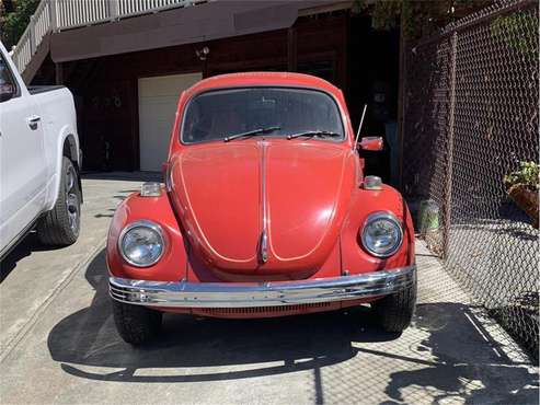 1971 Volkswagen Beetle for sale in Willow Creek, CA