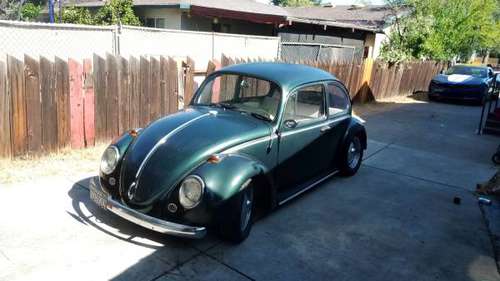 1966 Volkswagen bug 1300 for sale in Concord, CA