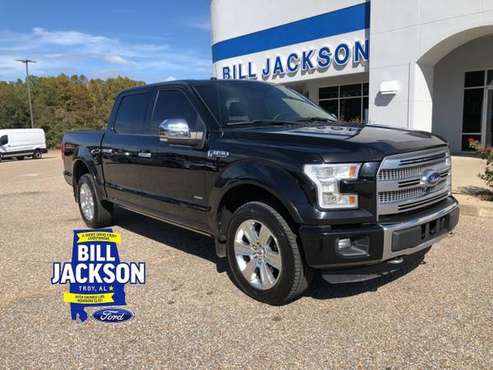 2016 Ford F-150 Platinum - cars & trucks - by dealer - vehicle... for sale in Troy, AL
