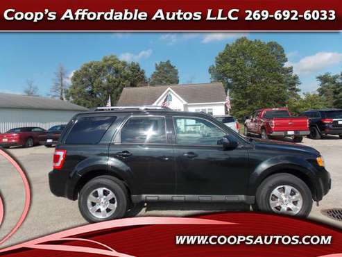 2011 Ford Escape Limited FWD for sale in Otsego, MI