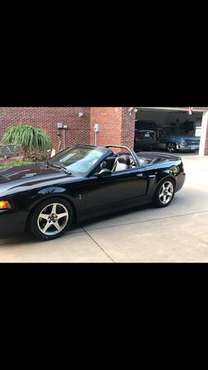 2003 Mustang Cobra for sale in Greenville, SC