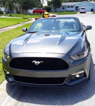 2016 Ford Mustang EcoBoost Premium Convertible for sale in SAINT PETERSBURG, FL