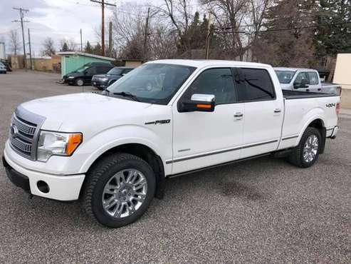 2012 FORD F150 PLATINUM - - by dealer - vehicle for sale in Conrad, MT