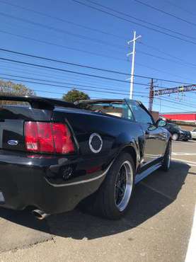 Supercharged Mustang GT Convertible for sale in Stamford, NY