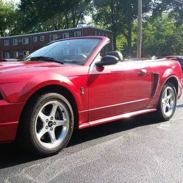 2001 Mustang Cobra - cars & trucks - by owner - vehicle automotive... for sale in 44142, OH