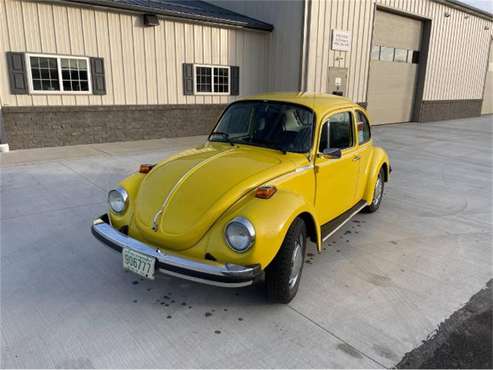 1974 Volkswagen Super Beetle for sale in Cadillac, MI