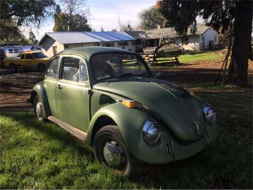 1970 Volkswagen Beetle for sale in Cadillac, MI