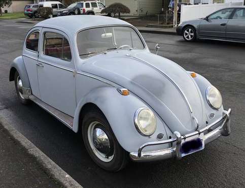 1964 VW Beetle Bug for sale in Vancouver, OR