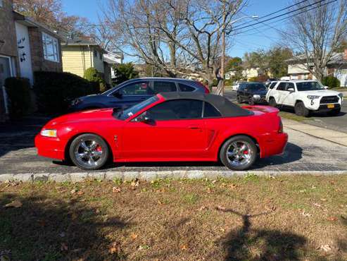 1999 Mustang Cobra Supercharged - cars & trucks - by owner - vehicle... for sale in North Babylon, NY