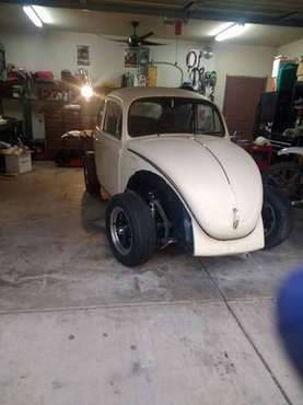 1971 VW project car - cars & trucks - by owner - vehicle automotive... for sale in Chico, CA