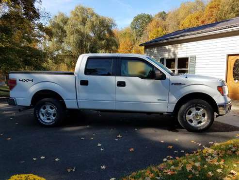 2014 Ford F 150 XL eco boost for sale in Alum Bank, PA