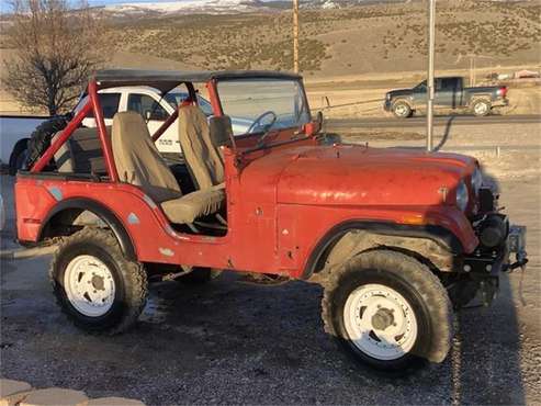 1974 Jeep CJ5 for sale in Cadillac, MI