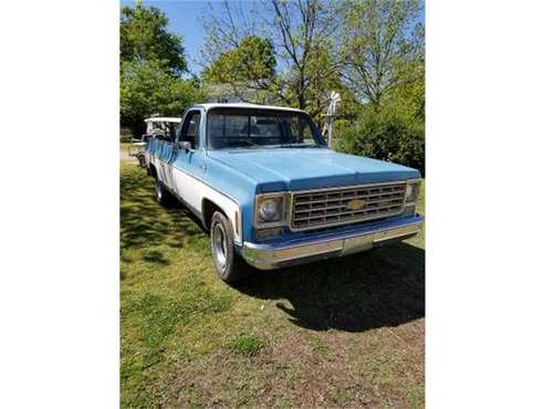 1976 Chevrolet Pickup for sale in Cadillac, MI