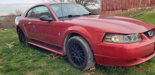 2002 Ford Mustang - cars & trucks - by owner - vehicle automotive sale for sale in Muscatine, IA