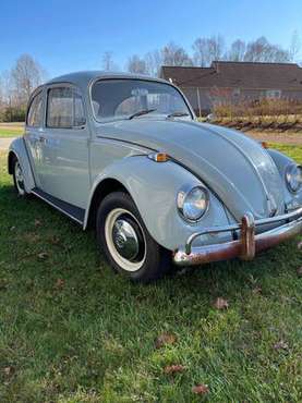 1967 Beetle - cars & trucks - by owner - vehicle automotive sale for sale in Gibsonville, NC