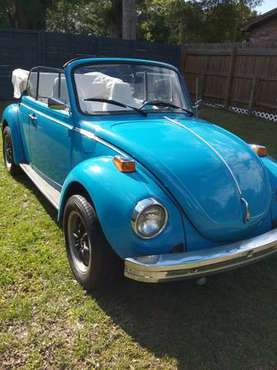 1975 VW Super Beetle Convertible for sale in TAMPA, FL