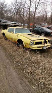 1976 Pontiac Trans Am for sale in Mahnomen, ND