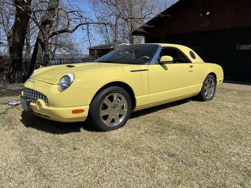 2002 Ford Thunderbird for sale in Detroit Lakes, MN