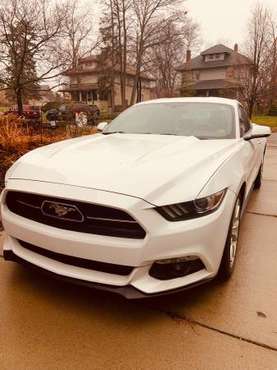 2015 Ford Mustang Ecoboost 50th Anniversary Edition - cars & trucks... for sale in Pontiac, MI