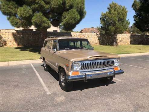 1978 Jeep Cherokee Chief for sale in Cadillac, MI