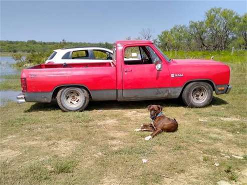 1982 Dodge D150 for sale in Cadillac, MI