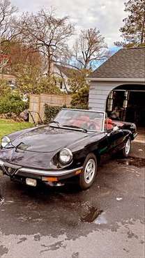 1985 Alfa Romeo spider for sale in Croton on Hudson, NY