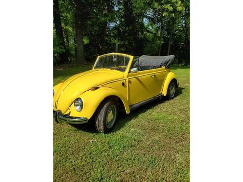1969 Volkswagen Beetle for sale in Cadillac, MI