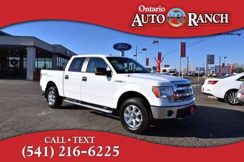 2014 Ford F-150 XLT - cars & trucks - by dealer - vehicle automotive... for sale in Ontario, OR