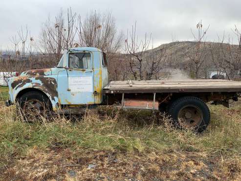 54 Dodge flatbed - cars & trucks - by owner - vehicle automotive sale for sale in Malaga, WA