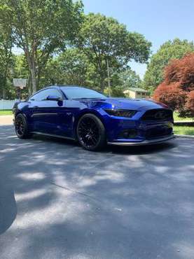 2015 Ford Mustang GT 50th Anniversary for sale in Medford, NY
