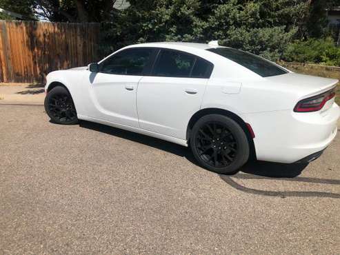White 2016 Dodge Charger SXT sedan 3.6 RWD 64k miles - cars & trucks... for sale in Fort Collins, CO