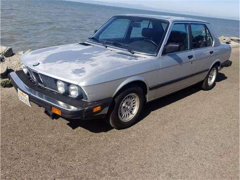1985 BMW E28 for sale in Cadillac, MI