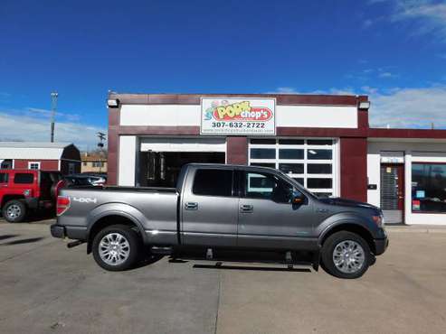 2014 FORD F150, PLATINUM (1179) - - by dealer for sale in Cheyenne, WY