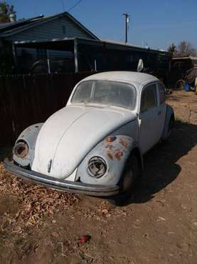 68 vw beetle - cars & trucks - by owner - vehicle automotive sale for sale in Lamont, CA