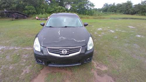 2007 NISSAN MAXIMA - - by dealer - vehicle automotive for sale in Hartford, AL