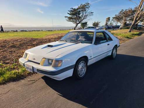 1985 MUSTANG SVO (VERSION B) RARE CLASSIC! 1 OF 15 12000 - cars & for sale in Albany, CA