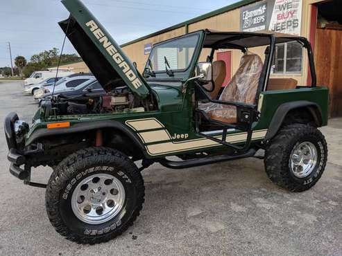 1993 Jeep Wrangler RETRO GORGEOUS!!!!! for sale in Longwood, GA