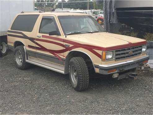 1985 Chevrolet Blazer for sale in Cadillac, MI