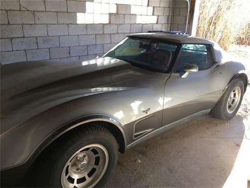 1978 Chevrolet Corvette for sale in Cadillac, MI