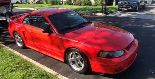 2001 mustang cobra - cars & trucks - by owner - vehicle automotive... for sale in West Babylon, NY