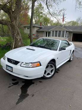 2000 mustang GT convertible for sale in Hamel, MN
