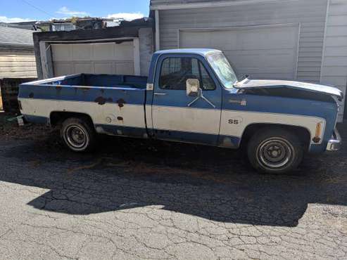 1976 Chevy C10 for sale in Mahanoy City, PA