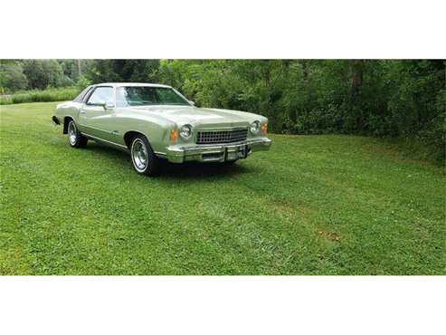 1974 Chevrolet Monte Carlo for sale in Cadillac, MI