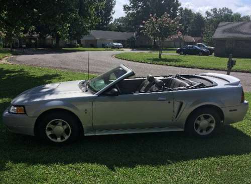 2000 Ford Mustang convertible - Base trim v6 3.8L for sale in Tuscaloosa, AL