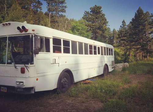 Converted school bus for sale in Masonville, CO