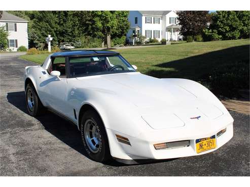 1980 Chevrolet Corvette for sale in Lagrangeville, NY
