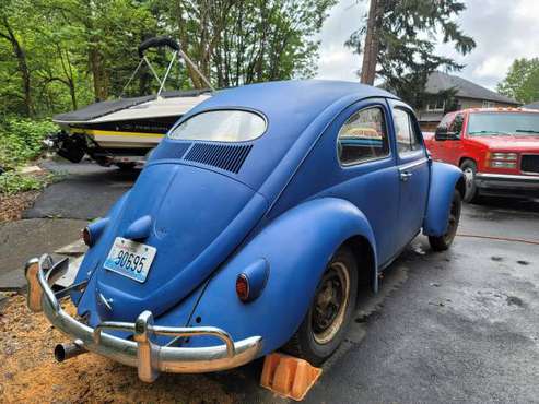 1957 Volkswagen Oval Bug for sale in PUYALLUP, WA